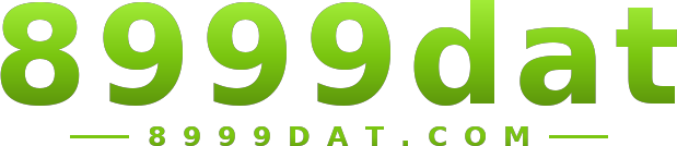 8999dat logo